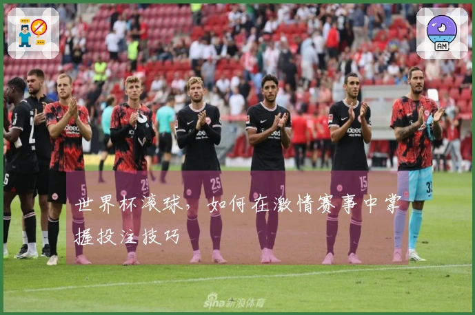 世界杯滚球，如何在激情赛事中掌握投注技巧