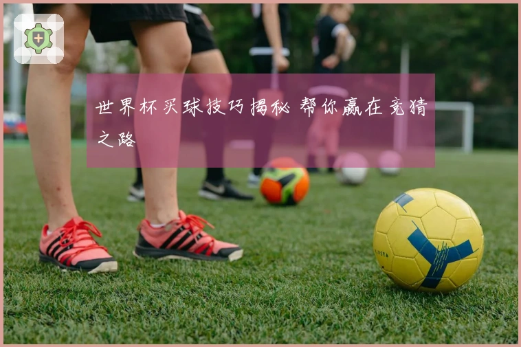 世界杯买球技巧揭秘 帮你赢在竞猜之路