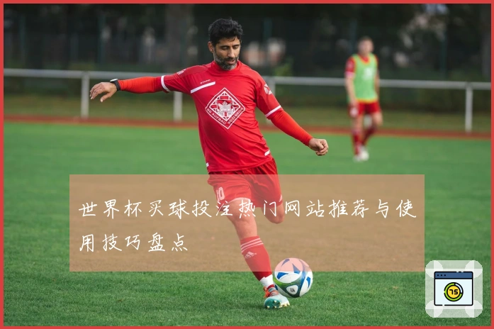 世界杯买球投注热门网站推荐与使用技巧盘点