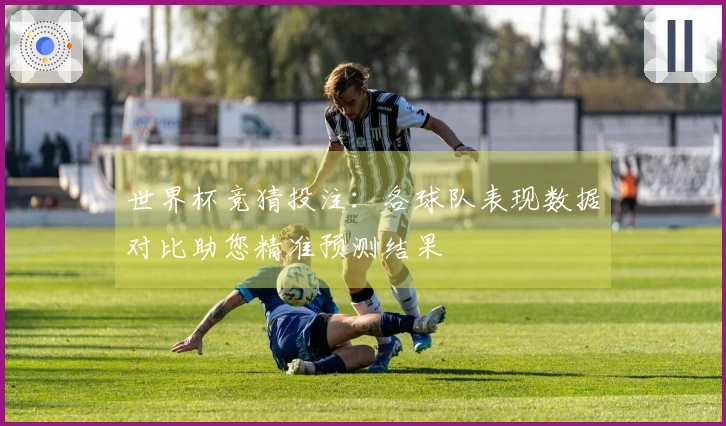 世界杯竞猜投注：各球队表现数据对比助您精准预测结果