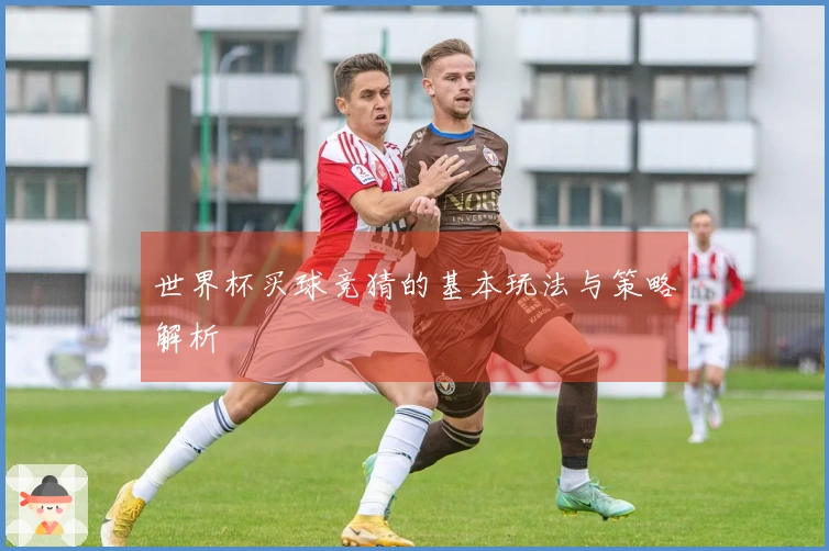 世界杯买球竞猜的基本玩法与策略解析