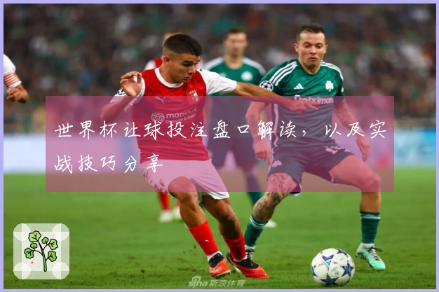 世界杯让球投注盘口解读，以及实战技巧分享