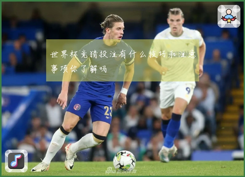 世界杯竞猜投注有什么技巧和注意事项你了解吗
