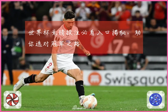 世界杯竞猜投注必看入口揭秘，助你选对冠军之路