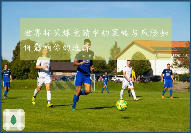 世界杯买球竞猜中的策略与风险如何影响你的选择